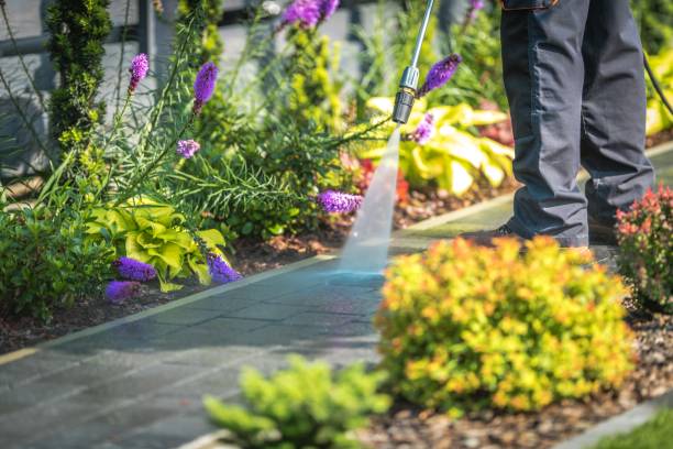 Best Dumpster Area Cleaning  in Eastport, NY